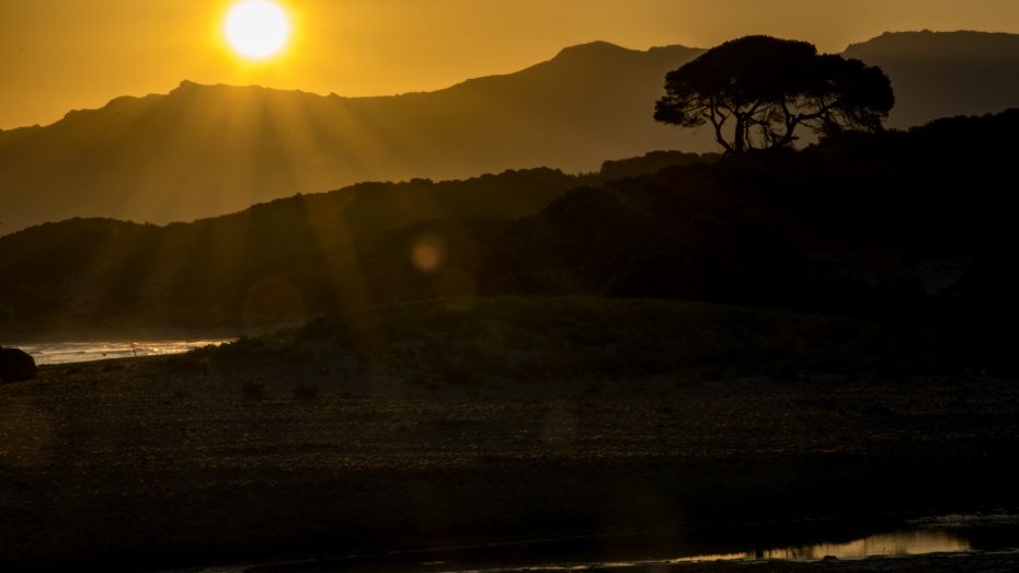 Afrika oder Korsika?