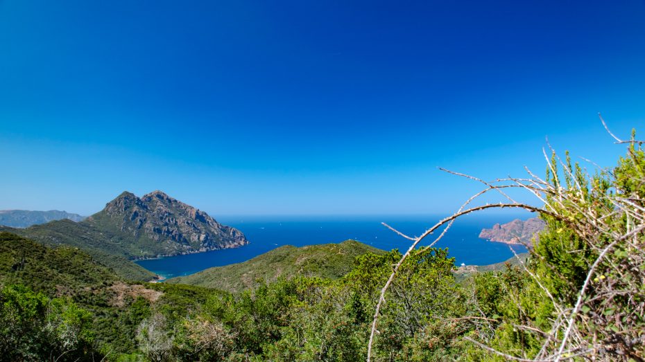 Blick auf Golfe de Girolata
