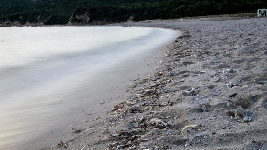 Cupabia-Plage Wellenspiel