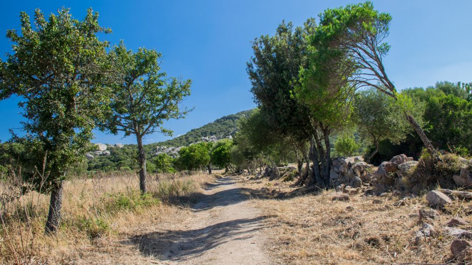 Wanderung nach Fontanaccia