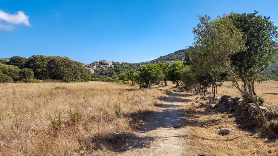 Weg nach Fontanaccia